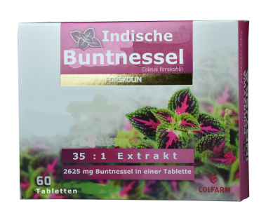 Indische Buntnessel, Forskolin, 60 Tabletten, senkt Blutdruck, erweitert Bronchien, behebt Blasenentzündung, regt Verdauung an